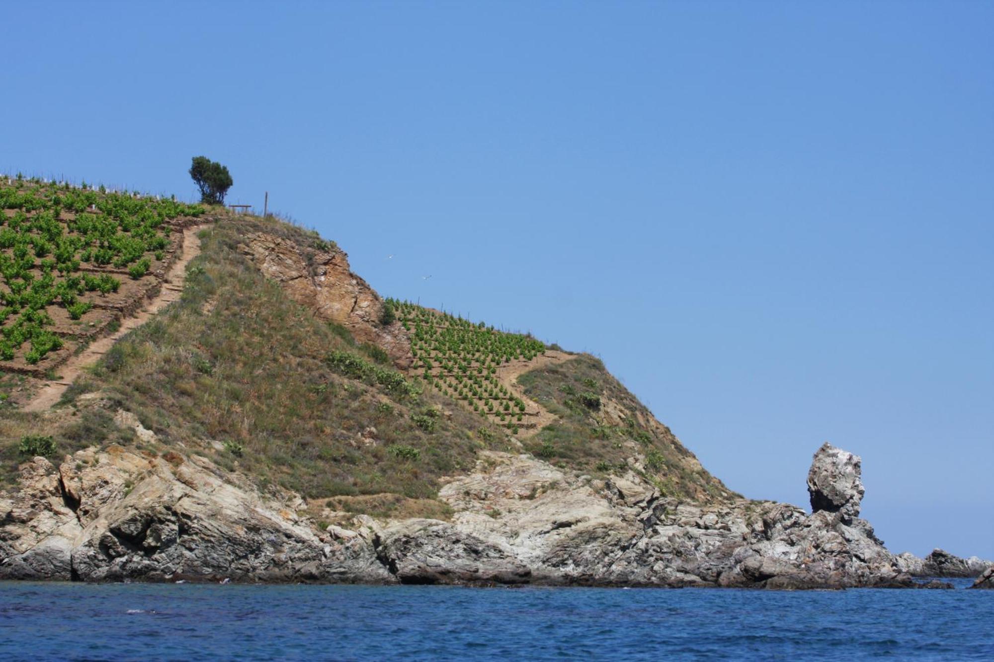 Logis Solhotel Banyuls-sur-Mer Exterior foto